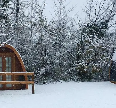 Glamping At Treegrove Campsite