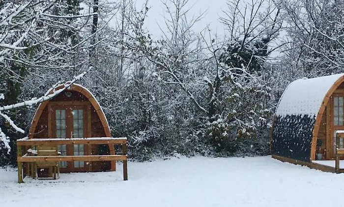 Glamping At Treegrove Camping