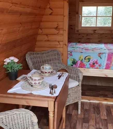 Kamp alanı Glamping At Treegrove
